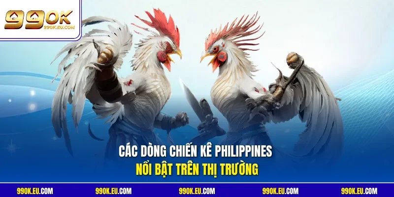 Các dòng chiến kê Philippines nổi bật trên thị trường