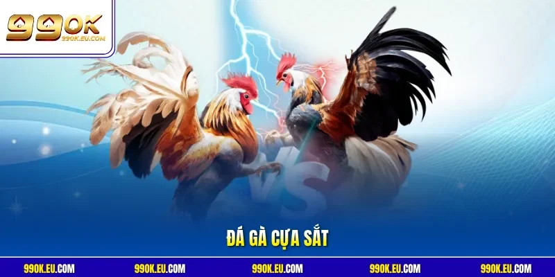 Đá gà cựa sắt