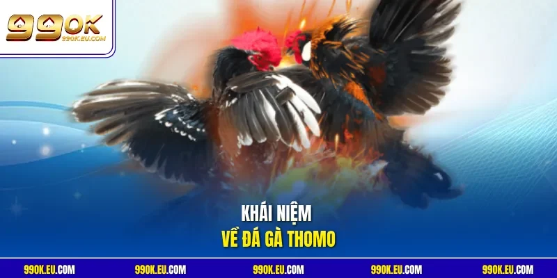 Khái niệm về đá gà Thomo