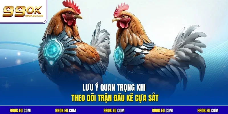 Lưu ý quan trọng khi theo dõi trận đấu kê cựa sắt
