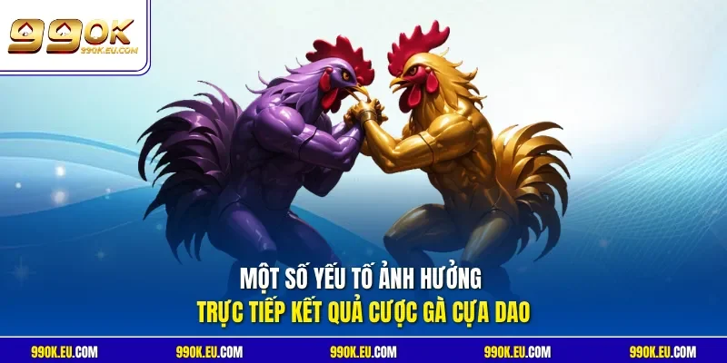 Một số yếu tố ảnh hưởng trực tiếp kết quả cược gà cựa dao