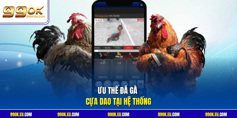 Ưu thế đá gà cựa dao tại hệ thống